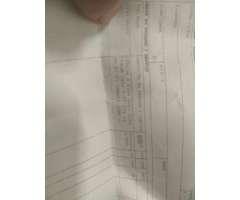 IPhone 8 plus 256 gb - 4